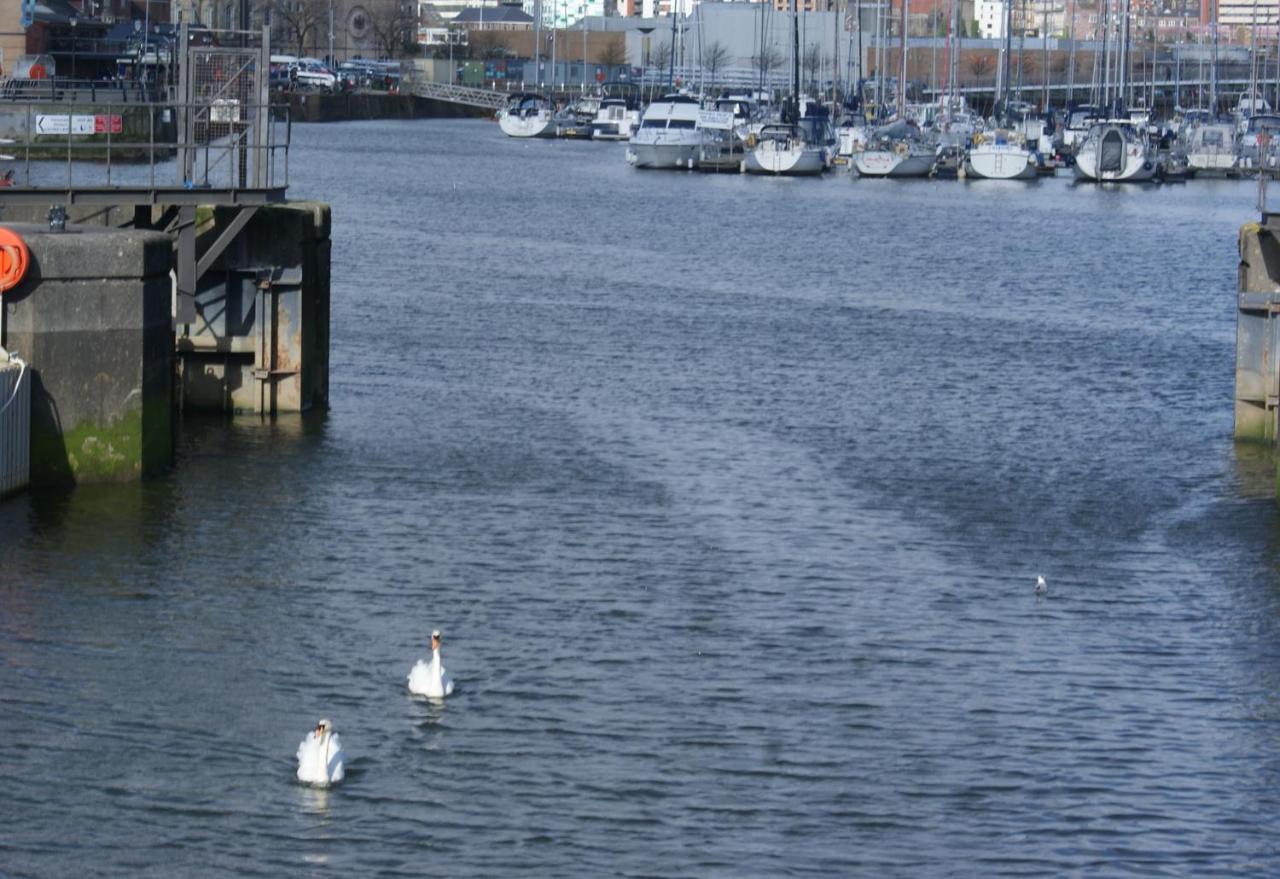 Coastal City Rooms - Waterfront Swansea Bagian luar foto